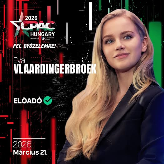 Politikai kommentátor